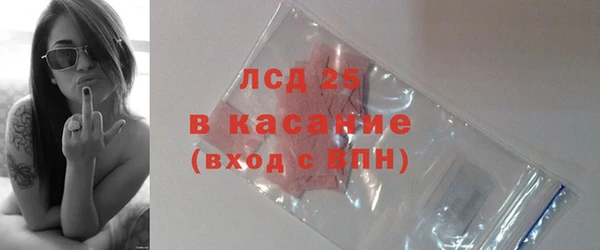 прущие грибы Касимов
