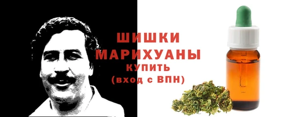 прущие грибы Касимов