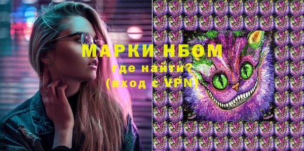 прущие грибы Касимов