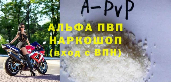 прущие грибы Касимов