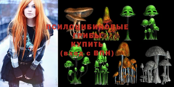 прущий лед Карталы