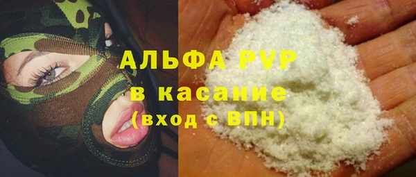 прущие грибы Касимов