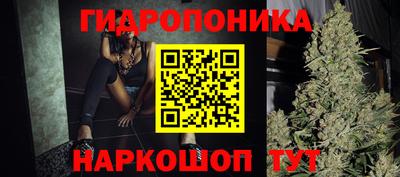 тгк Новокубанск