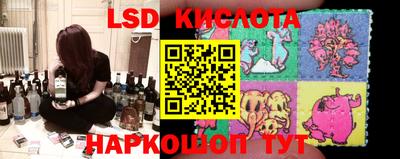 тгк Новокубанск