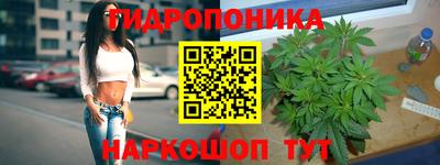 прущий лед Новозыбков