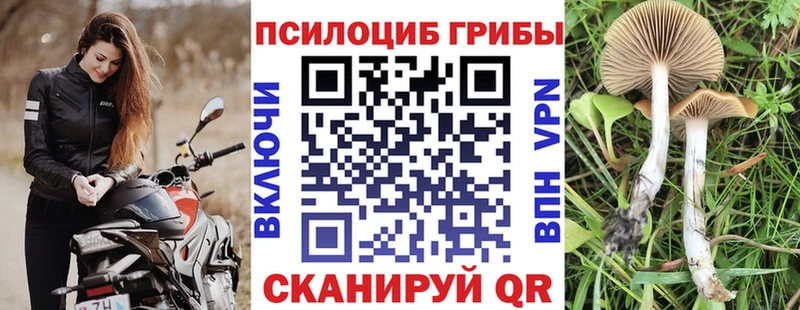 Галлюциногенные грибы MAGIC MUSHROOMS  Тейково 