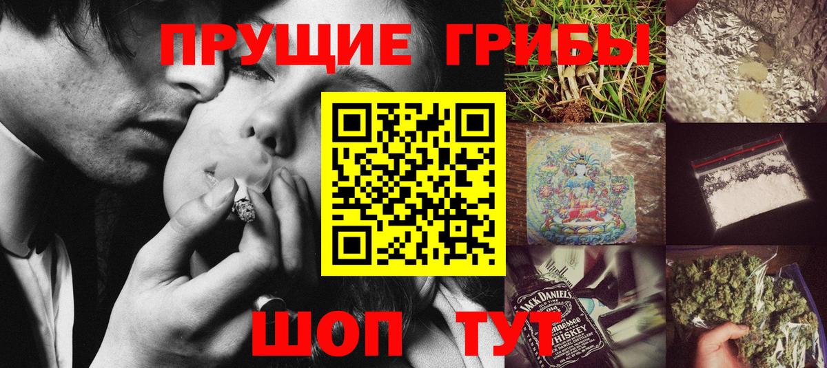 Тейково  Галлюциногенные грибы Psilocybine cubensis  Вход с VPN 