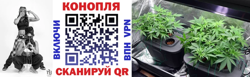 Канабис THC 21%  Тейково 